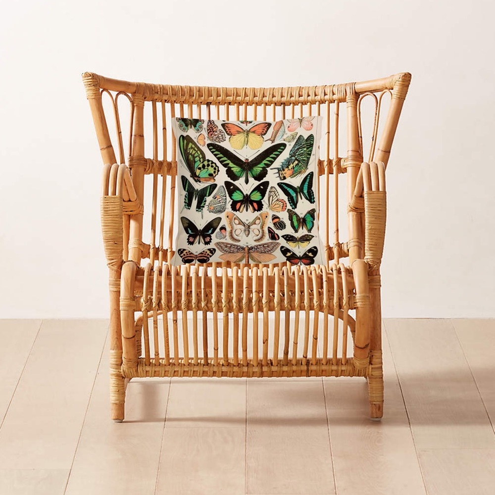 Luxury Home | Vintage Papillon Butterfly Gallery Printed Throw Pillow Cover 🦋